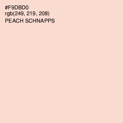 #F9DBD0 - Peach Schnapps Color Image